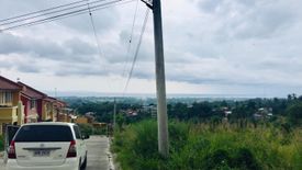 Land for sale in Maghaway, Cebu