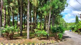 Land for sale in Ponderosa Leisure Farms, Narra II, Cavite