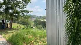 Land for sale in Talamban, Cebu