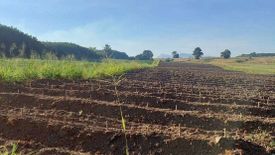 Land for sale in Hang Sung, Chonburi