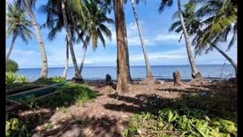 Land for sale in Tunga-Tunga, Negros Oriental