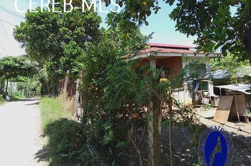 Land for sale in Tayud, Cebu