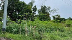 Land for sale in Poblacion, Cebu