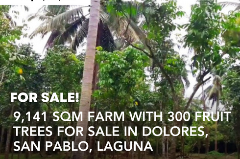Land for sale in Barangay II-C, Laguna