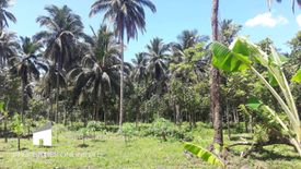 Land for sale in Barangay II-C, Laguna