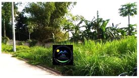 Land for sale in San Vicente, Cebu