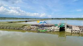 Commercial for sale in Tunga, Cebu