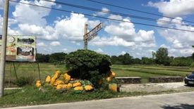 Land for Sale or Rent in San Agustin, Pampanga