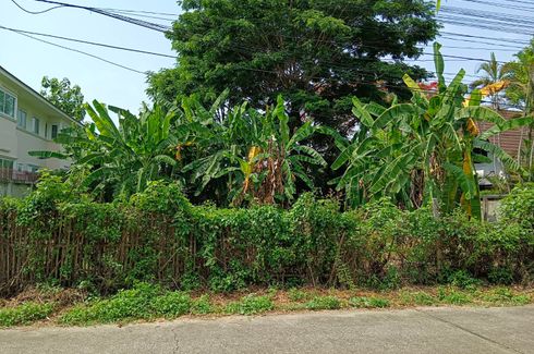Land for sale in Wat Ket, Chiang Mai
