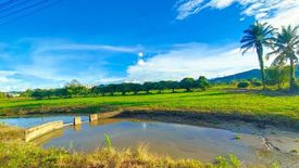 Land for sale in Mae Chedi, Chiang Rai