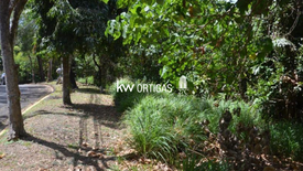 Land for sale in San Isidro, Rizal