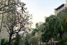 3 Bedroom Townhouse for sale in The Lofts Sathorn, Chong Nonsi, Bangkok near BTS Chong Nonsi
