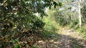 Land for sale in Klaeng, Rayong