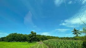 Land for sale in Tha Chalung, Nakhon Ratchasima