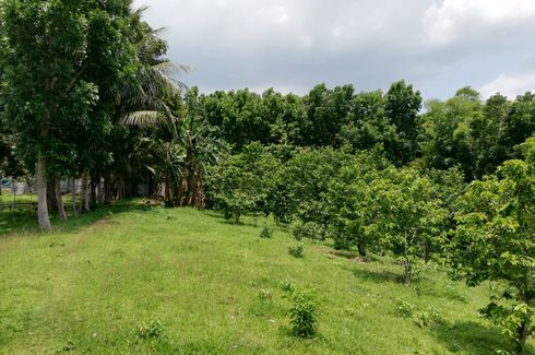 Land for sale in Pinagkurusan, Batangas