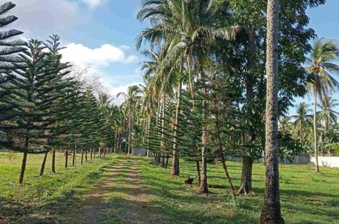 Land for sale in Santa Cruz, Batangas