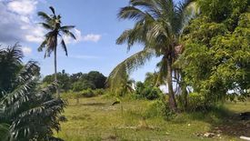 Land for rent in Busogon, Cebu