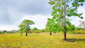 Land for sale in Santa Lucia, Palawan