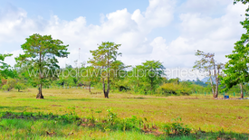 Land for sale in Santa Lucia, Palawan