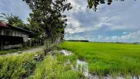 Land for sale in Concepcion, Pampanga