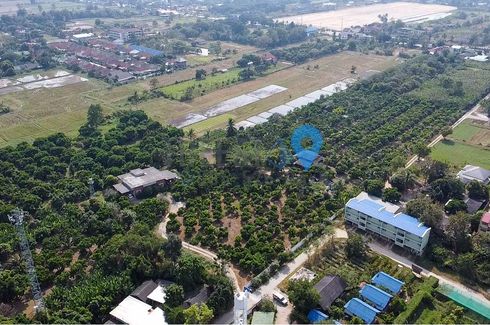 Land for sale in Nong Han, Chiang Mai