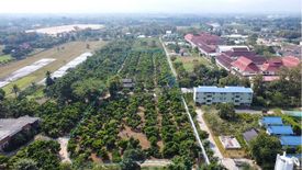 Land for sale in Nong Han, Chiang Mai