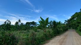 Land for sale in Mahabangkahoy Cerca, Cavite