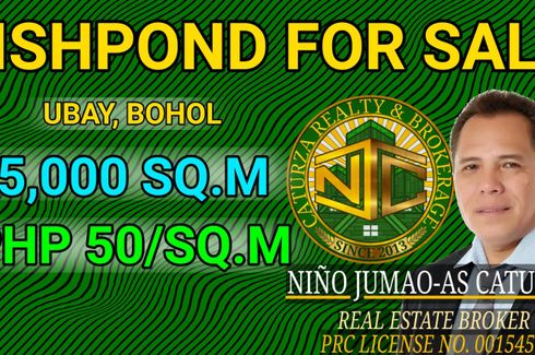 Land for sale in Lomangog, Bohol