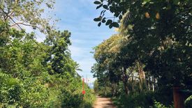 Land for sale in Tontonan, Bohol