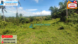 Land for sale in Dolores, Leyte