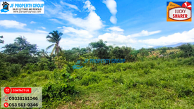Land for sale in Dolores, Leyte