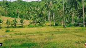 Land for sale in Bonbon, Cebu