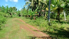 Land for sale in Sulangan, Cebu