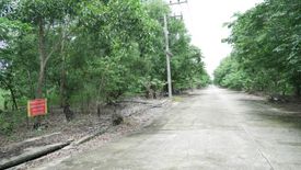Land for sale in Bueng Ba, Pathum Thani