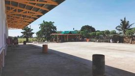 Warehouse / Factory for rent in Concepcion, Pampanga