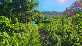 Land for sale in Sagbang, Negros Oriental