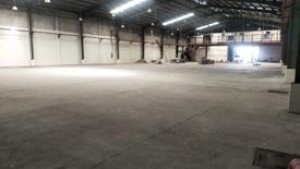 Warehouse / Factory for rent in Mactan, Cebu