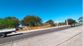 Land for sale in Santo Niño 3rd, Nueva Ecija