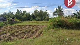 Land for sale in Thum, Sisaket
