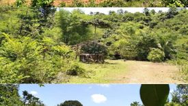 Land for sale in Lanipe, Guimaras