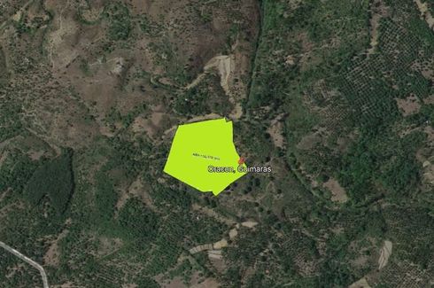 Land for sale in Lanipe, Guimaras