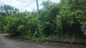 Land for sale in Sacsac, Cebu