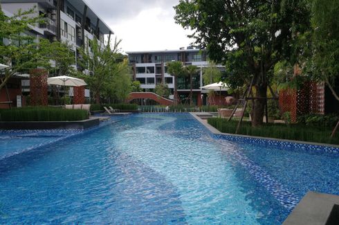 1 Bedroom Condo for rent in Arise Condo, Pa Daet, Chiang Mai