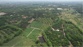 Land for sale in Pak Bong, Lamphun