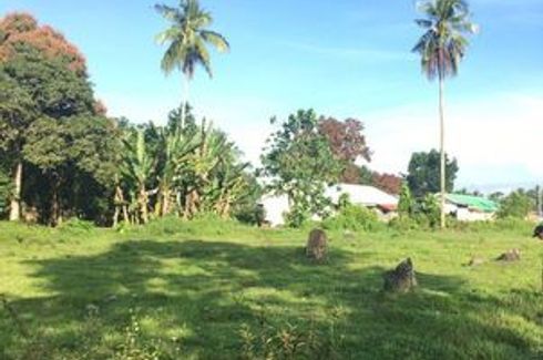 Land for sale in Bansarvil, Lanao del Norte