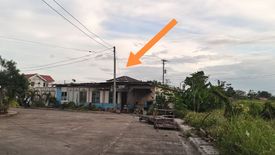 Land for sale in Subabasbas, Cebu