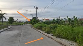 Land for sale in Subabasbas, Cebu