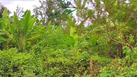 Land for sale in Marigondon, Cebu