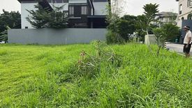 Land for sale in McKinley Hill, Metro Manila