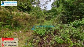 Land for sale in Macario, Leyte